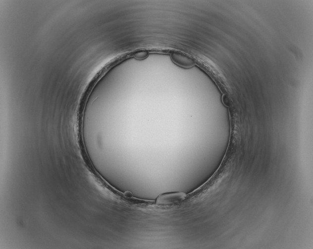 X0000114510942200911091127