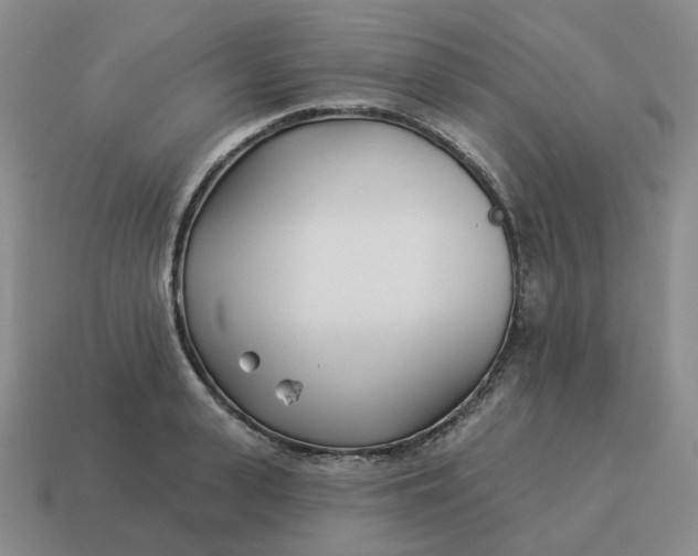 X0000114510943200911091127