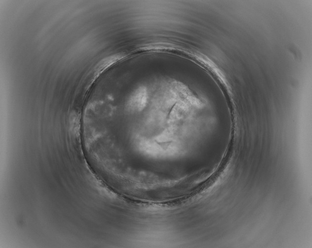 X0000114510945200911091127