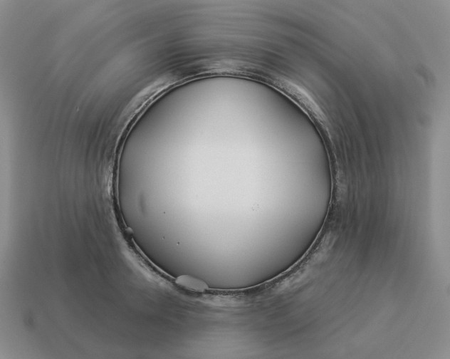 X0000114510946200911091127