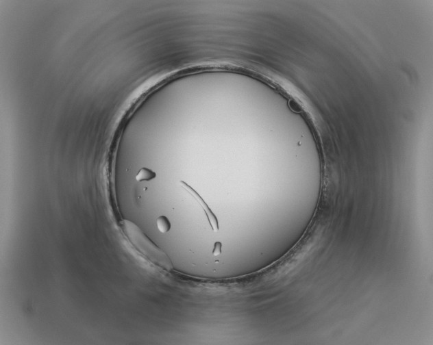 X0000114510951200911091127