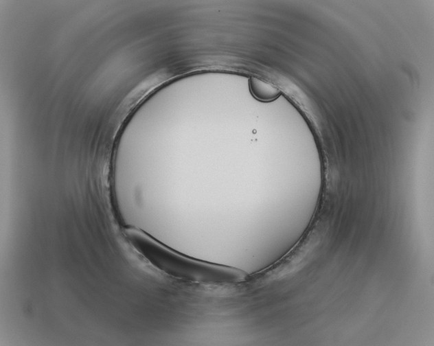 X0000114510954200911091127