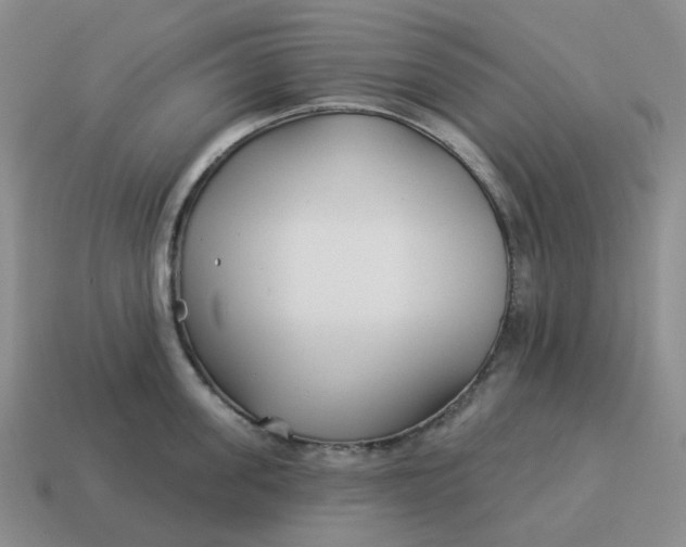 X0000114510955200911091127