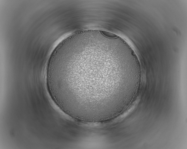 X0000114510957200911091127