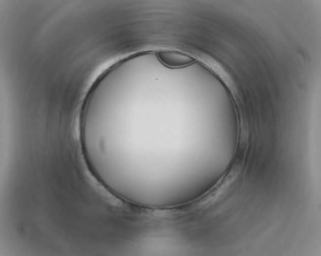 X0000114510958200911091127