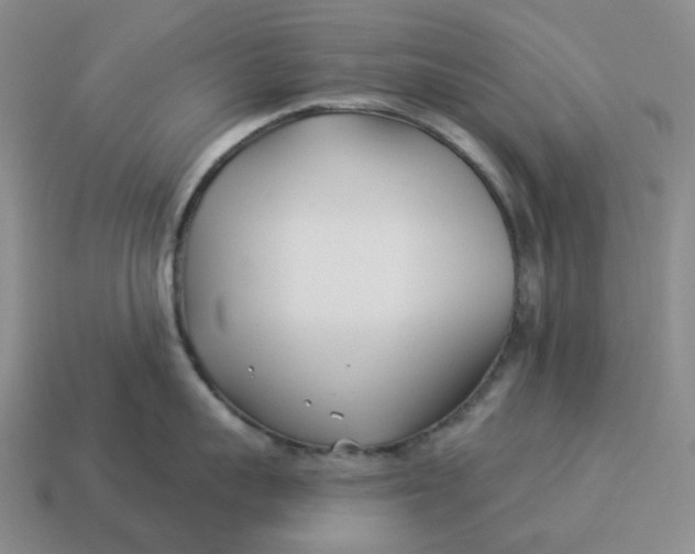 X0000114510959200911091127