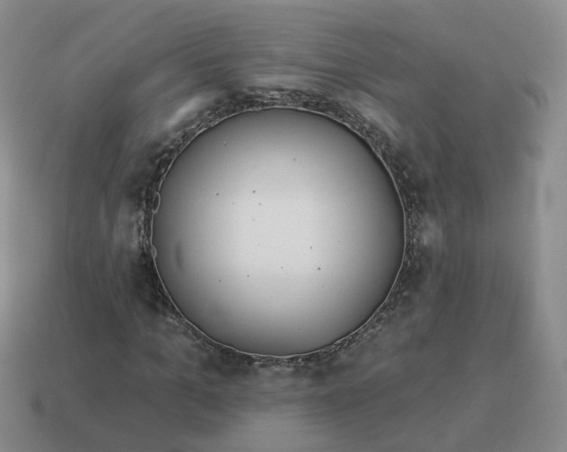 X0000114510965200911091126