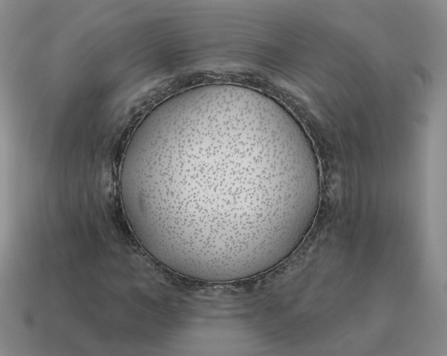 X0000114510966200911091126