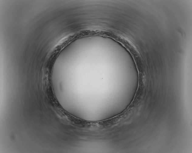 X0000114510968200911091126