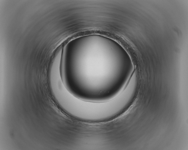 X0000114510969200911091126