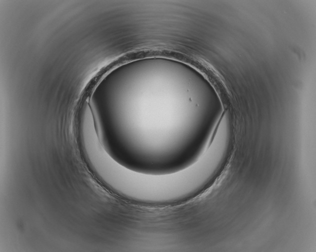 X0000114510973200911091126