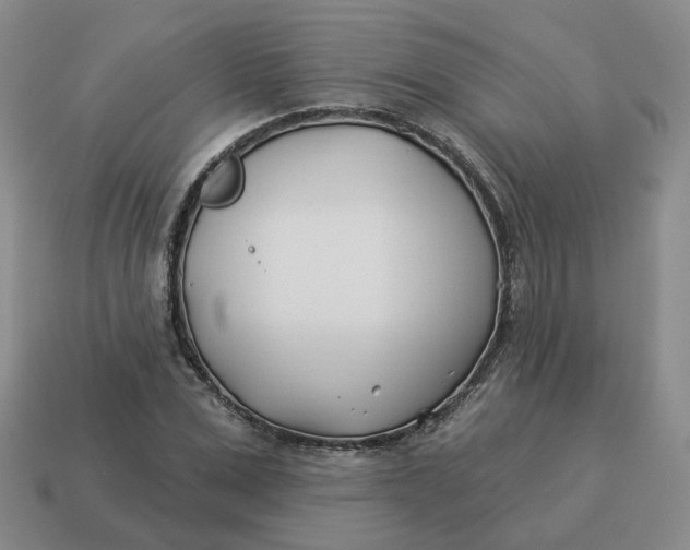 X0000114510975200911091126