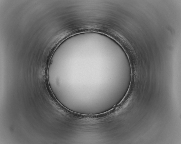 X0000114510977200911091126