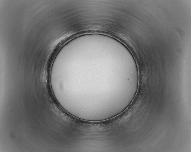 X0000114510979200911091126