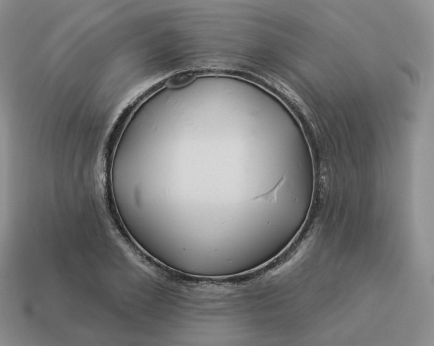 X0000114510981200911091126