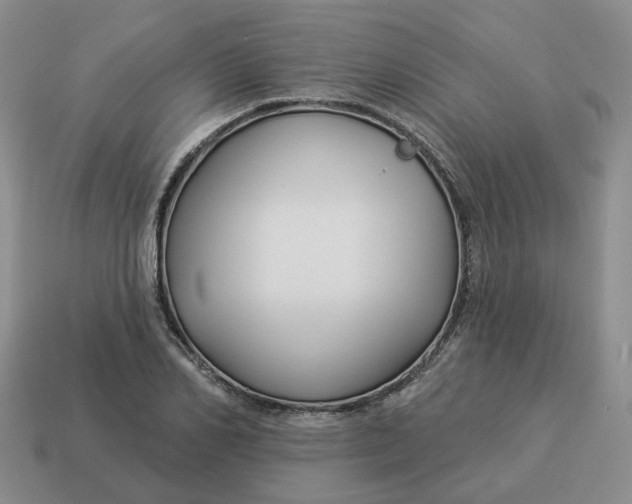 X0000114510982200911091126