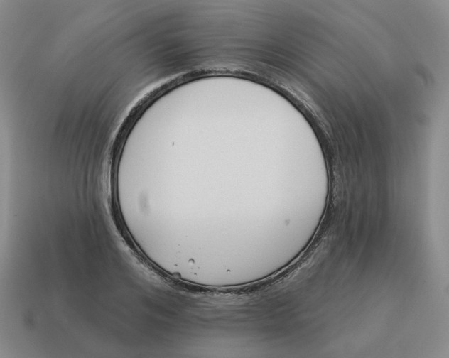 X0000114510984200911091126