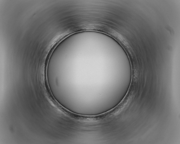 X0000114510986200911091126