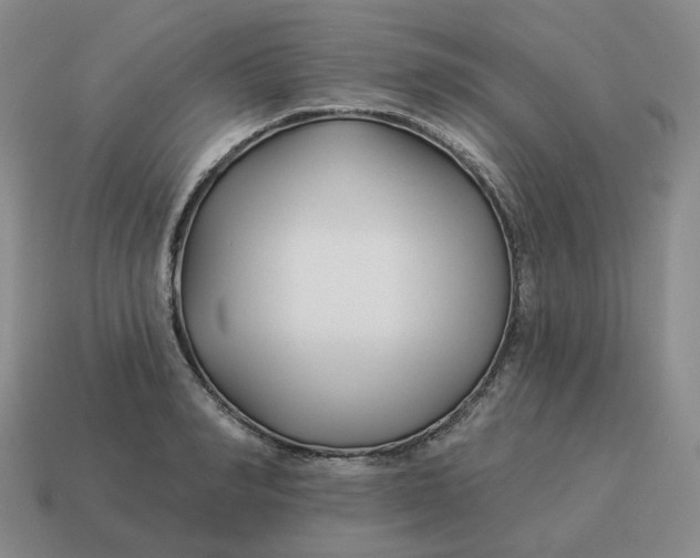 X0000114510990200911091126