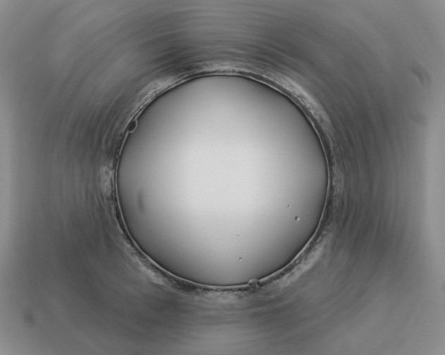 X0000114510993200911091126