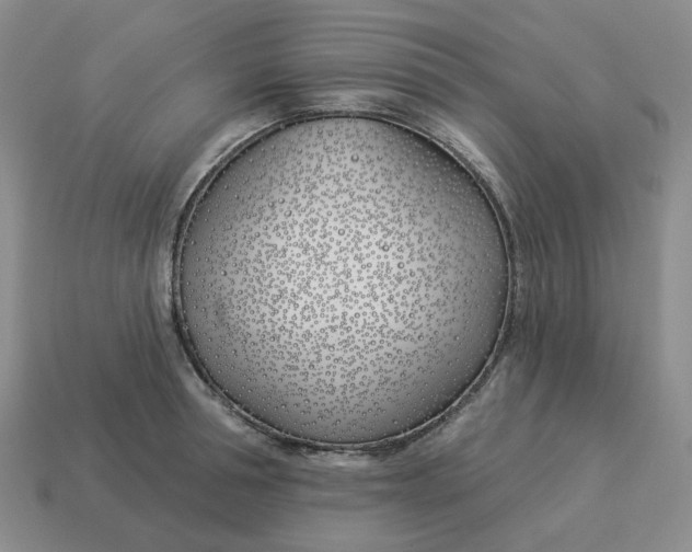 X0000114510994200911091126