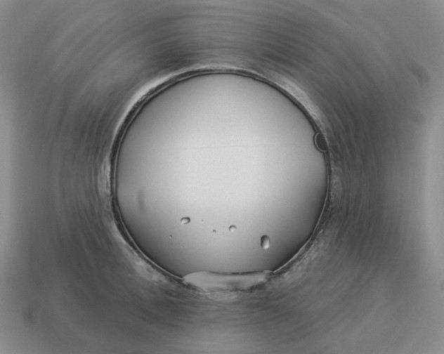 X0000114510996200911091126