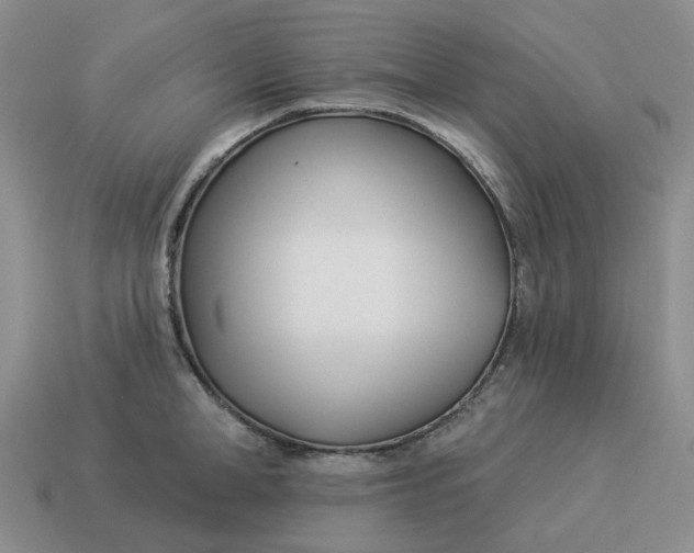 X0000114510998200911091126