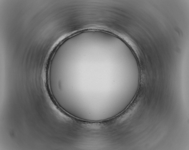 X0000114510999200911091126