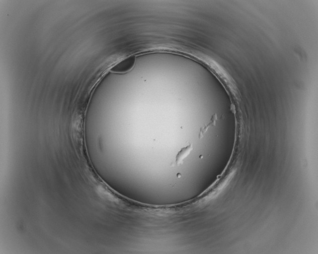 X0000114511001200911091126