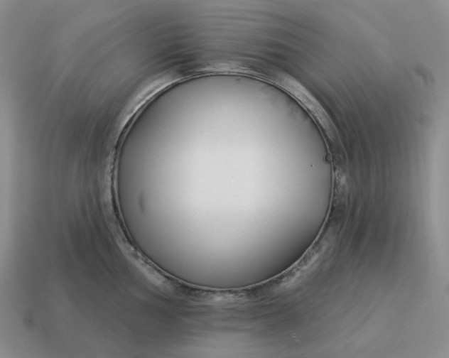 X0000114511002200911091126