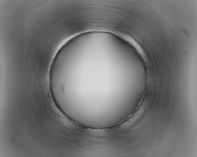 X0000114511004200911091126