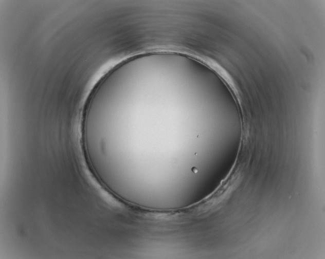 X0000114511005200911091126