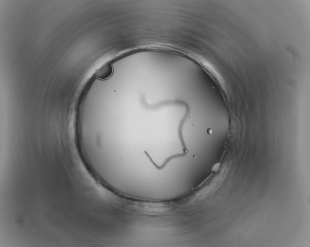 X0000114511007200911091126