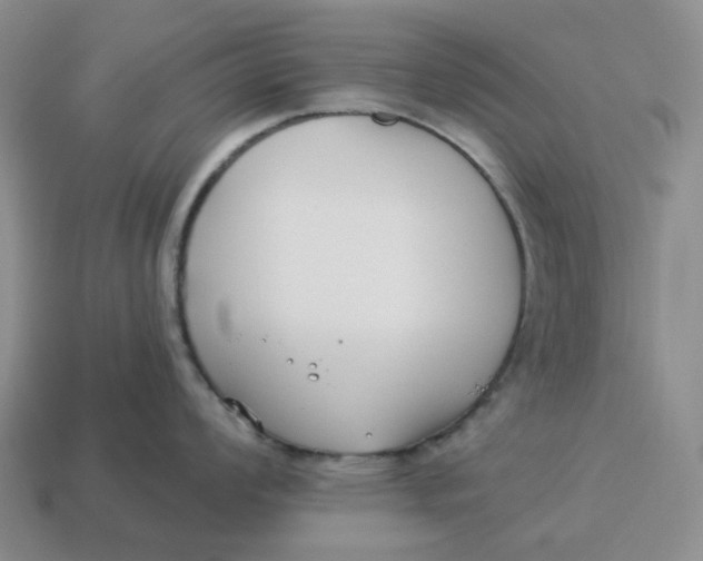 X0000114511008200911091126