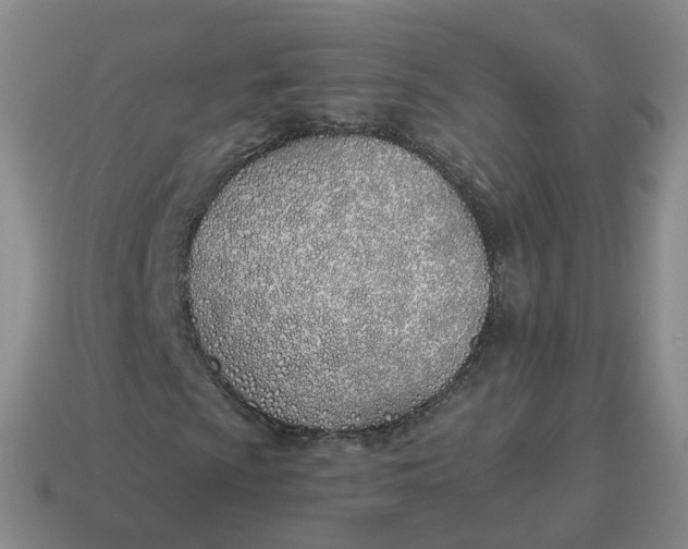 X0000114511009200911091125