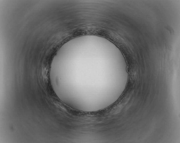 X0000114511010200911091125