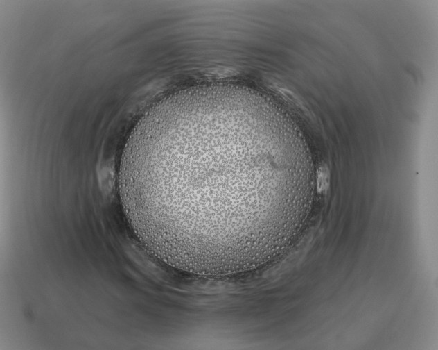 X0000114511011200911091125