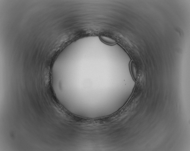 X0000114511012200911091125