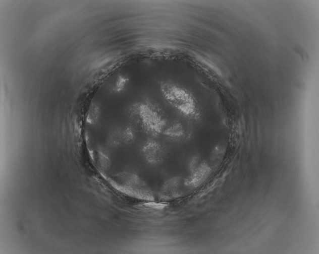 X0000114511013200911091125