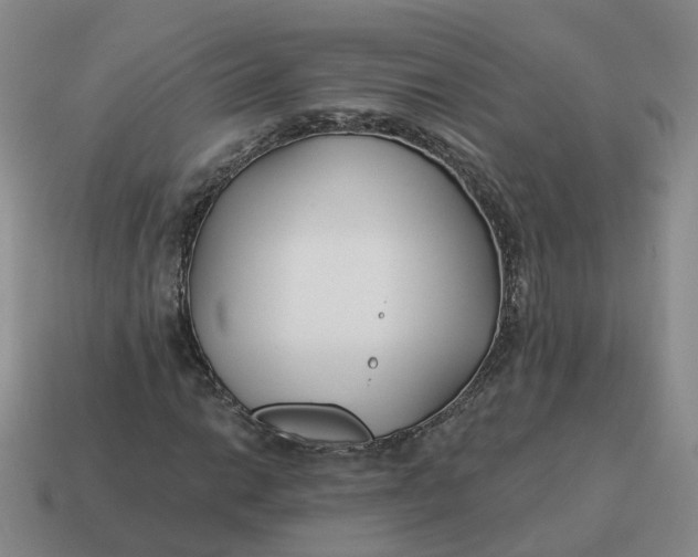 X0000114511014200911091125