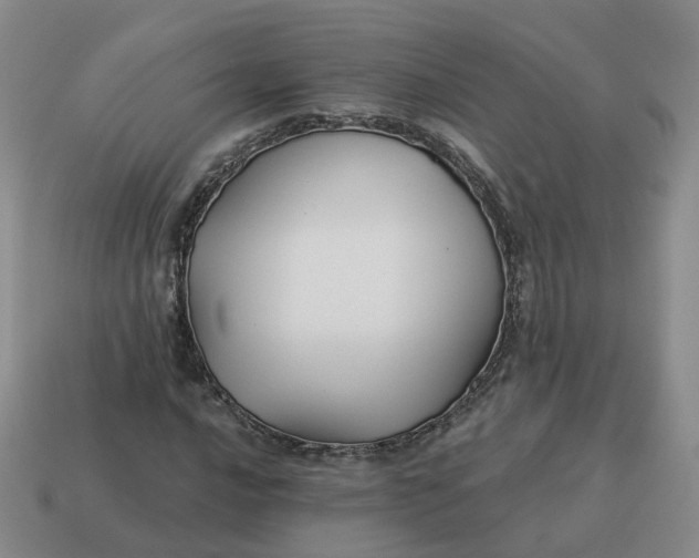 X0000114511016200911091125