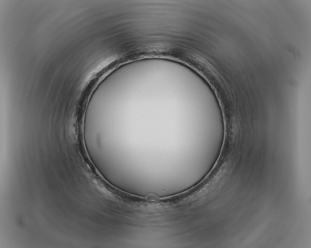 X0000114511018200911091125