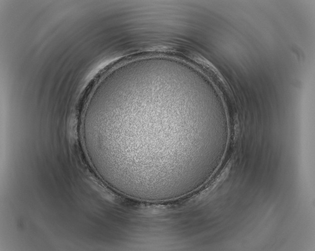 X0000114511019200911091125