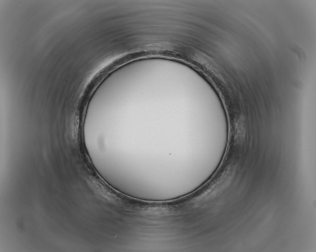 X0000114511021200911091125