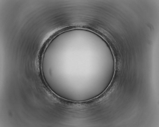 X0000114511022200911091125