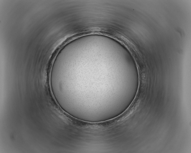 X0000114511023200911091125