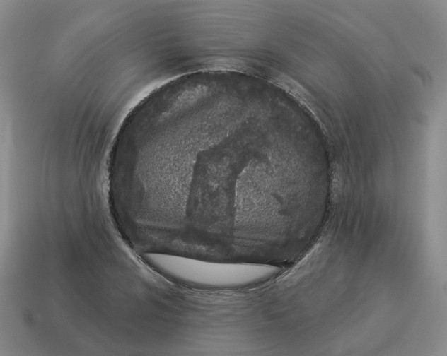 X0000114511024200911091125