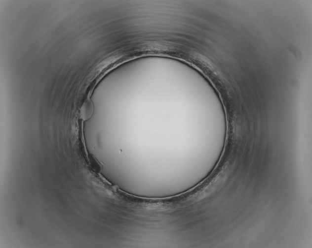 X0000114511025200911091125