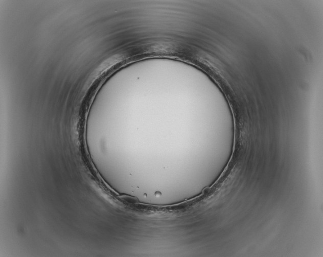 X0000114511026200911091125