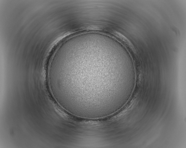 X0000114511027200911091125